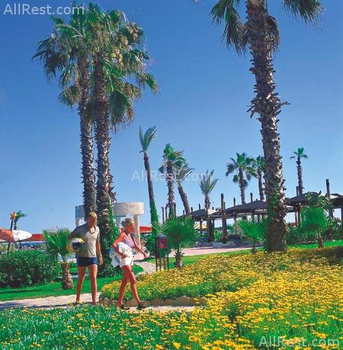 Arcadia Hotel 7